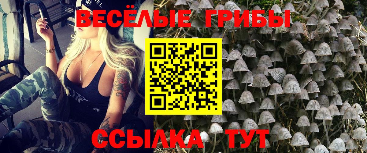 купить наркотики сайты  Псилоцибиновые грибы Psilocybe  Вход с VPN  Галлюциногенные грибы мухоморы  Оренбург 